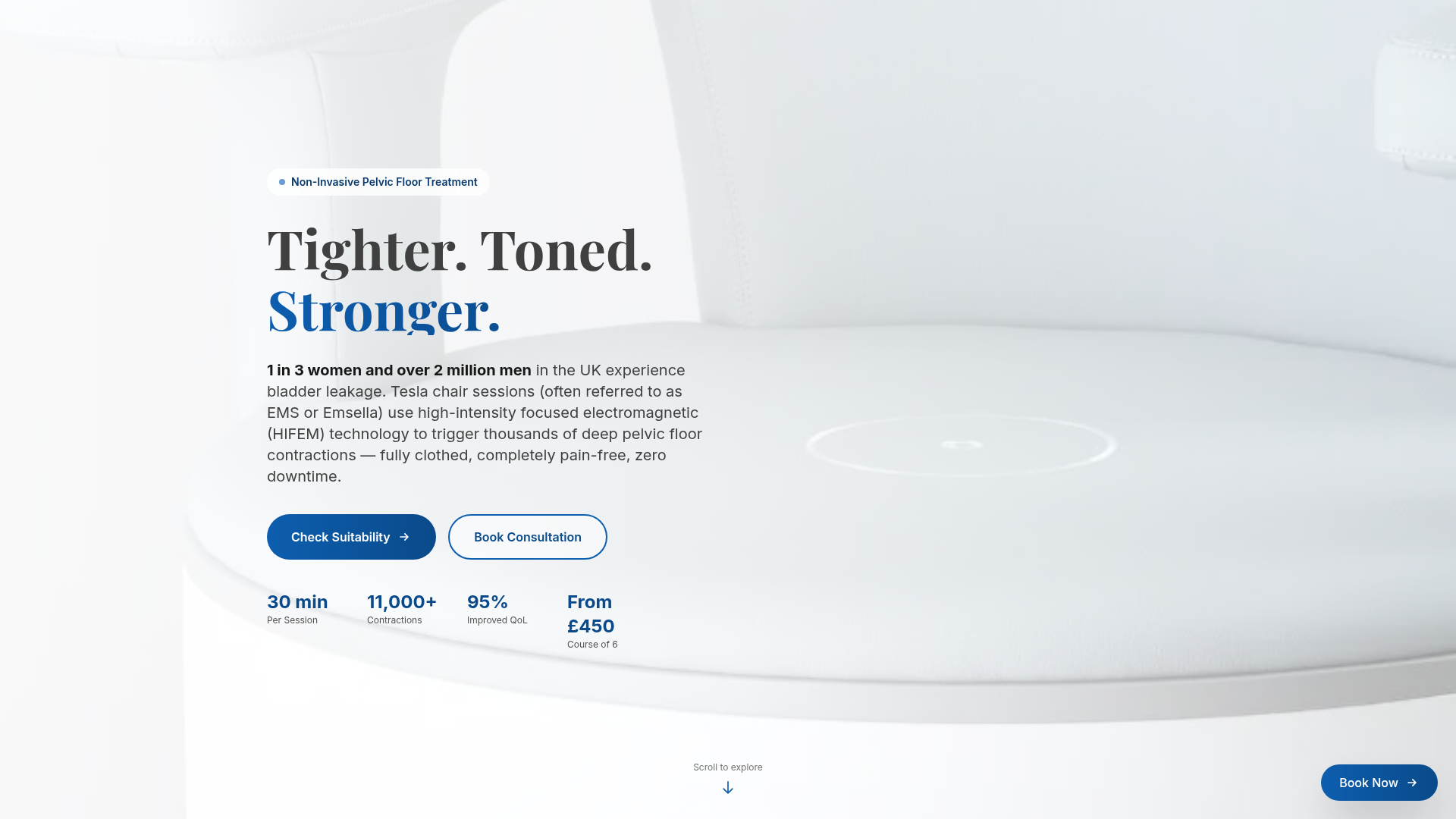 Tesla Seat Burwell landing page